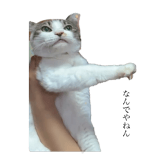 Sakura_20231005165236