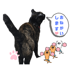 Mosshan_20231005171907