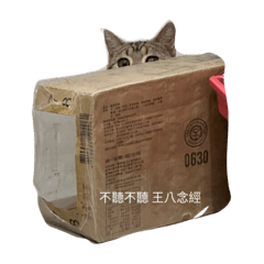 我不是虎斑