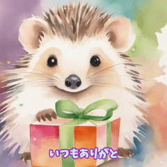 Hedgehog Happiness