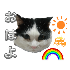 Tanaka_20231005201840