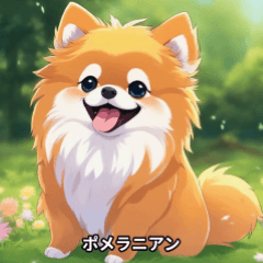 dog(Pomeranian,Siberian Husky,etc...)