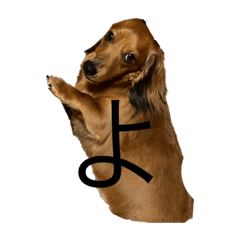 SAKURA_20231005183932