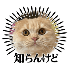 achi_20231005220833