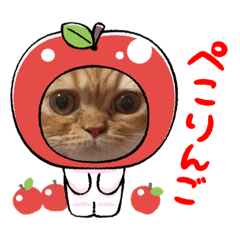 sakura_20231005224440