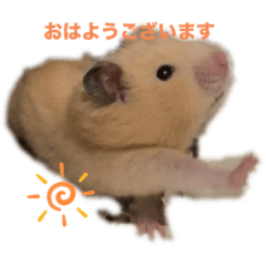 hamchoco_20231005213118