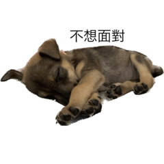 徐小恩好累（第二版）