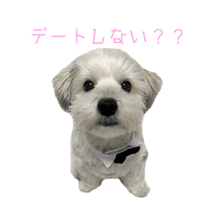 mei_17ans_20231006062225