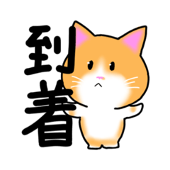 neko_mokachan