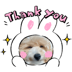 NOZOMI_20231005231117