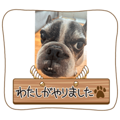 Yoshun_20231005231728