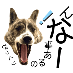 hana0515_20231006115400