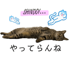 TANAKARAKUTALOW