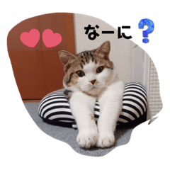 sakura_20231006115255