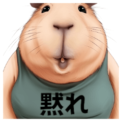 Capybara dedicated to inciting
