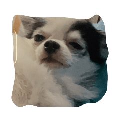 paoza_20231006145530