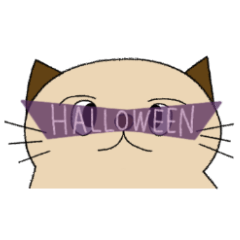 Archly the cat in Halloween night