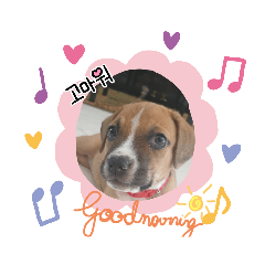 Cute dog frame