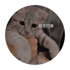 巴庫的生活日常
