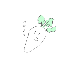 DAIKON Everyday