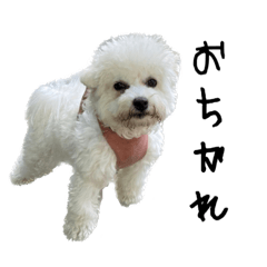 suzu_20231006172559