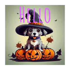 dog wearing a witch's hat