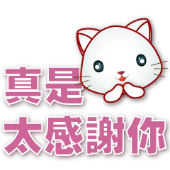 Cute white cat-commonly used phrases