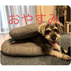 kana_20231007090338