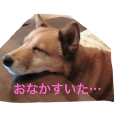 OSYOU_20231006211150