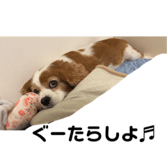 Yuka_20231006235623