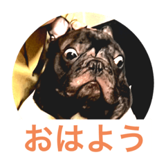 syo_20231006213636