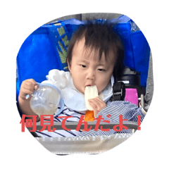 Sakura_20231006231930