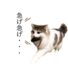 Muku is everyday life