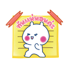 Rabbit in the office