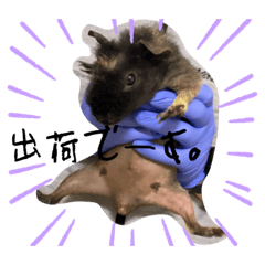 yukonotarako_20231007130008