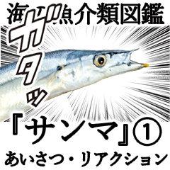 水生生物集『サンマ -秋刀魚-』（実写版）