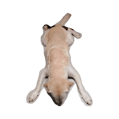 ima_20231007133951
