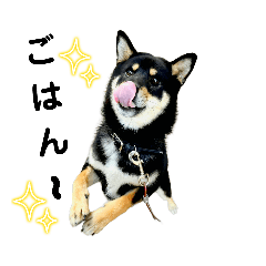 yukari_20231007110857