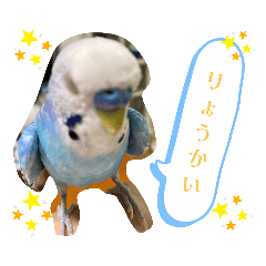 aono_20231007115832