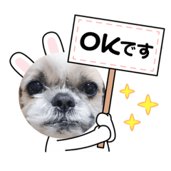 yuka_20231007135925