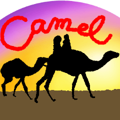 I love CAMEL.2