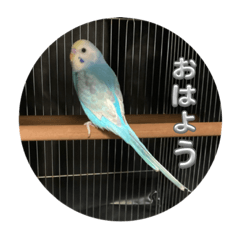 kosuke_20231007151634