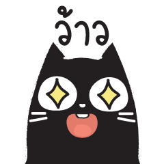 Black cat : chat