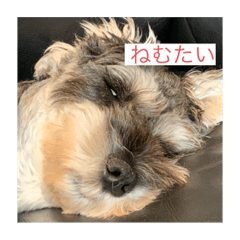 kana_20231007192426