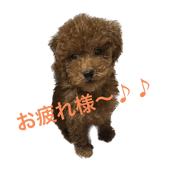 omochi_20231007211214