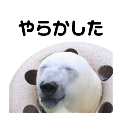 Miyama_20231007172923