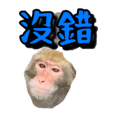 和平猴王
