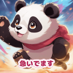 Cute panda's daily life