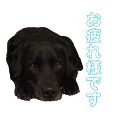 ellie_20231007173800