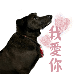 歐告難波萬-人在作寶在看